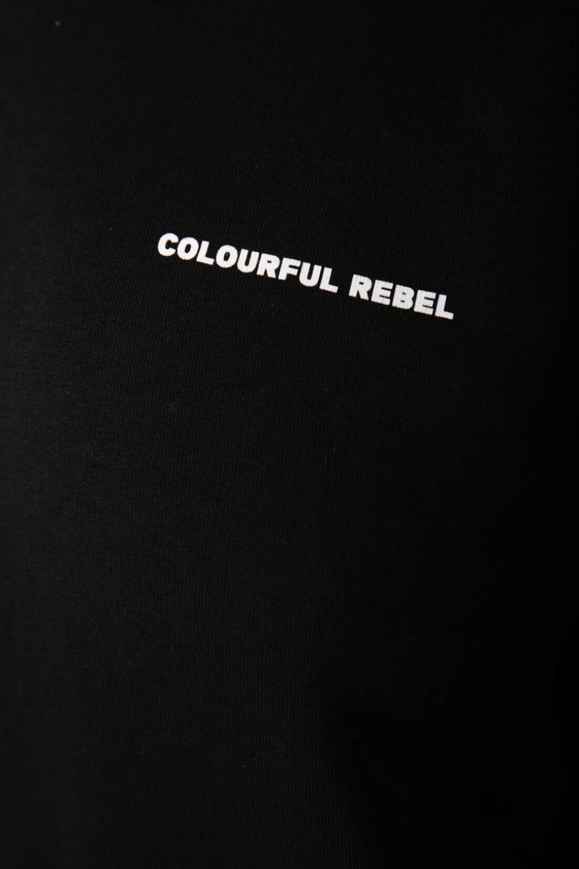 Hoodies<Colourful Rebel CR Back Logo Hoodie | Off black / Washed black