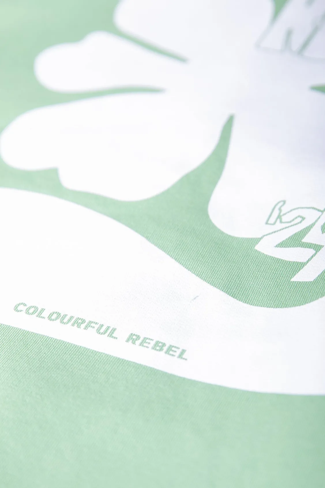 Hoodies<Colourful Rebel Flower Hoodie | Soft Green Softgreen