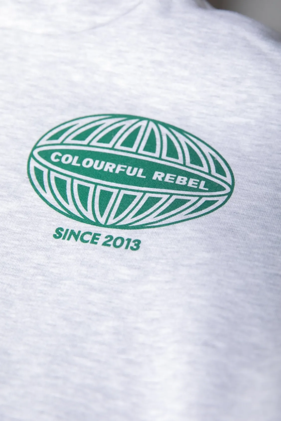 Hoodies<Colourful Rebel Racer Logo Hoodie | Light grey melange Lightgreymelange