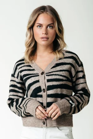 Truien<Colourful Rebel Shara Zebra Knitted Cardigan | Brown