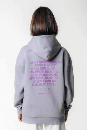 Hoodies<Colourful Rebel Travel Hoodie | Grey
