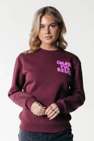 Truien<Colourful Rebel Wave Logo Sweat | Port Red Portred